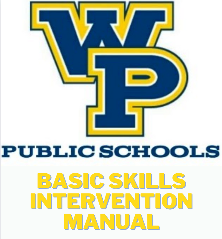 BSI Manual